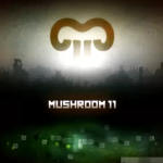 Mushroom 11