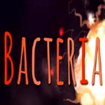 Bacteria