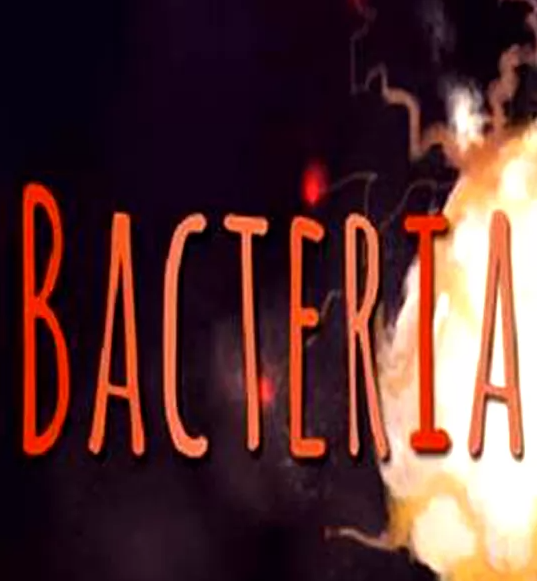 Bacteria