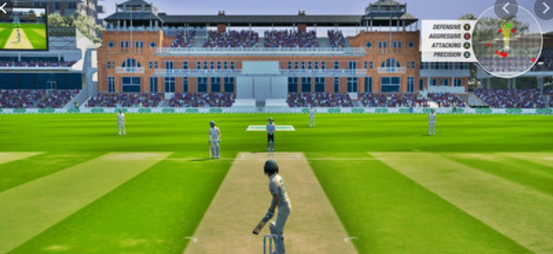 Cricket 19 Zaxrow