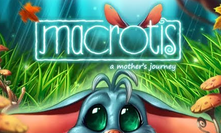 Macrotis A Mothers Journey Anniversary