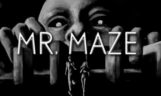 Mr Maze