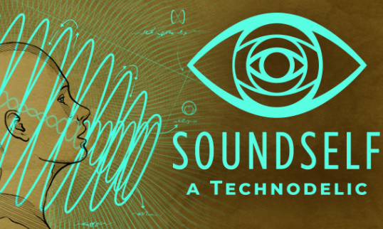 Soundself A Technodelic