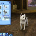 The Sims 3 Pets