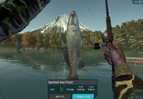 Ultimate Fishing Simulator Japan